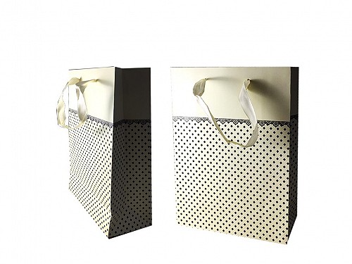 Paper gift bag Beige with Ribbon on the handles Dimensions 17.5x28x8 cm