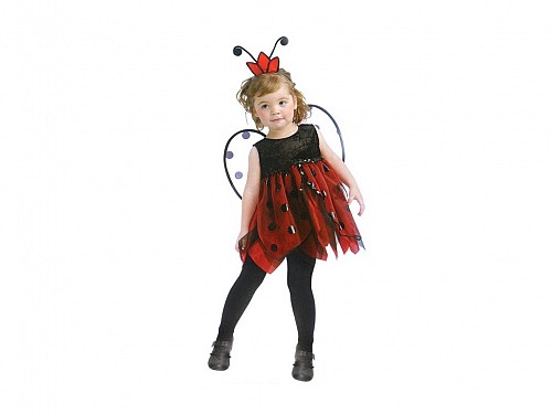 Halloween Childrens Costume Ladybug with Dress, Stalk and Feathers